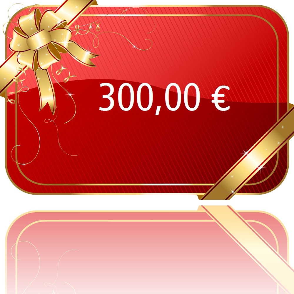 300,00 € Gutschein